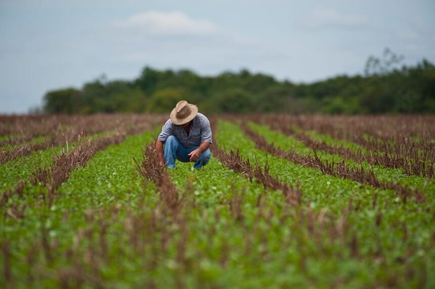 1º Encontro de Produtores Rurais acontece em Posse