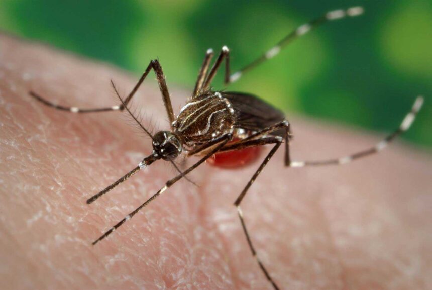 Secretaria de Saúde reúne com população e com diretores da prefeitura para tratar de prevenção e combate à Dengue