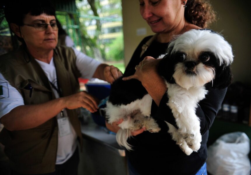 Vacinação contra Raiva acontece neste domingo, dia 26