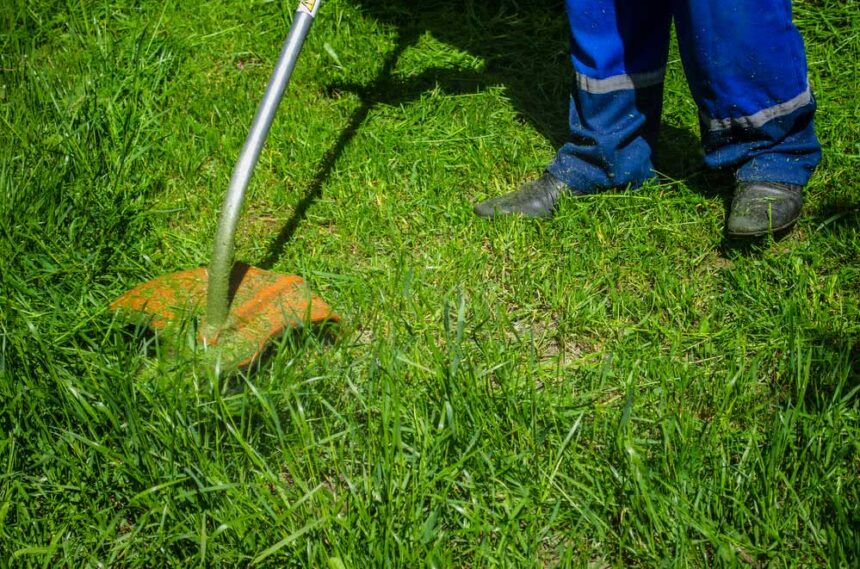 Prefeitura alerta a população sobre limpeza de terrenos