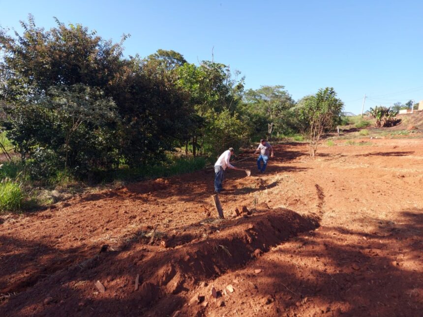 Prefeitura promove plantio de mais de 1500 árvores