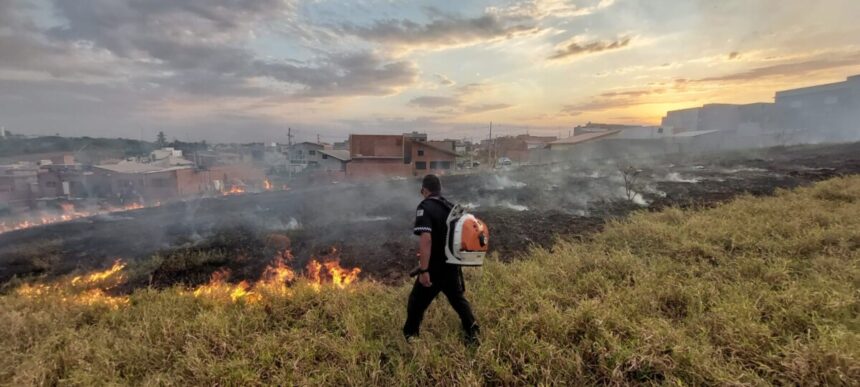 Agilidade da Guarda Municipal controla foco de incêndio em área verde no Cidade Jardim
